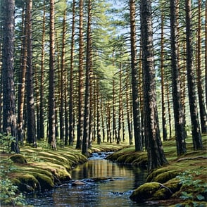 Forest Service Issues Simplified NEPA Regulations